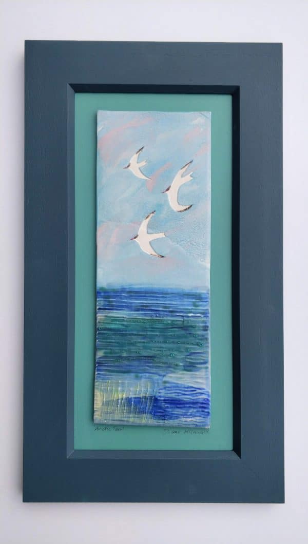 Arctic Terns